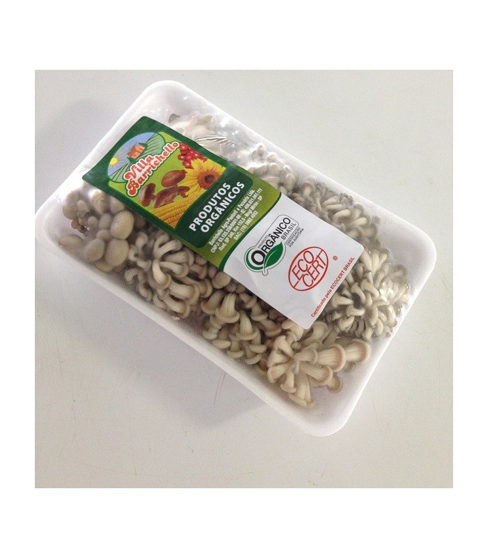 Cogumelo Shimeji Rosa Orgânico