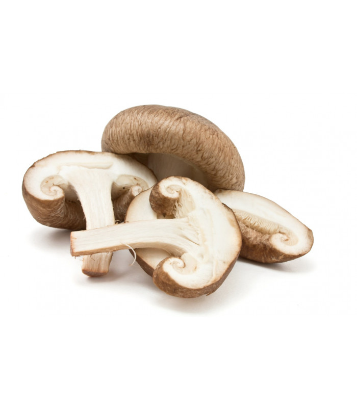 Cogumelo Shitake Shiitake 500g