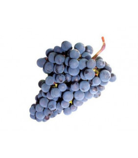 Uva Orgânica bj
