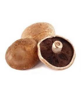 Cogumelo Portobello  Bj