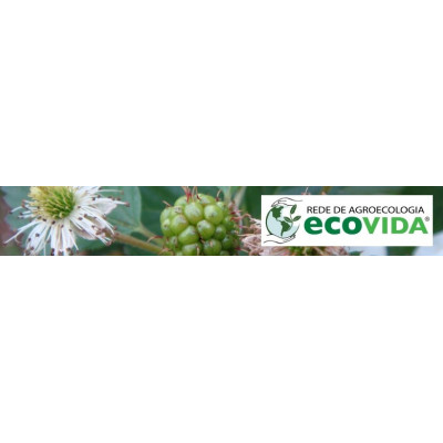 Rede EcoVida